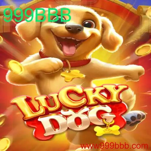 Descobrindo as Regras e Inovações do Jogo LuckyDog